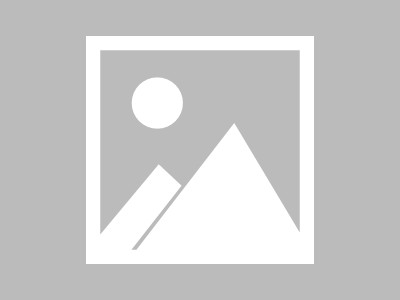 乐动体育官方网站包含字母哥在中国队比赛中精彩发挥，比分优势明显引发热议！的词条